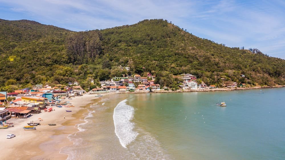 A Natureza Exuberante do Pântano do Sul: Um Paraíso à Beira-Mar