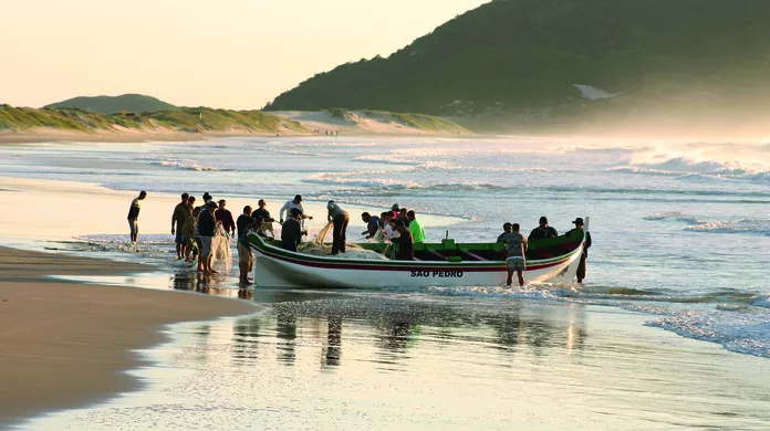 Saboreie a Tainha: Uma Experiência Única no Pedacinho do Céu